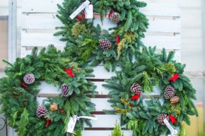 Live Winter Wreaths with Evergreen Cuttings
