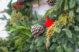 Live Evergreen Wreath with Pine Cones & Other Decor